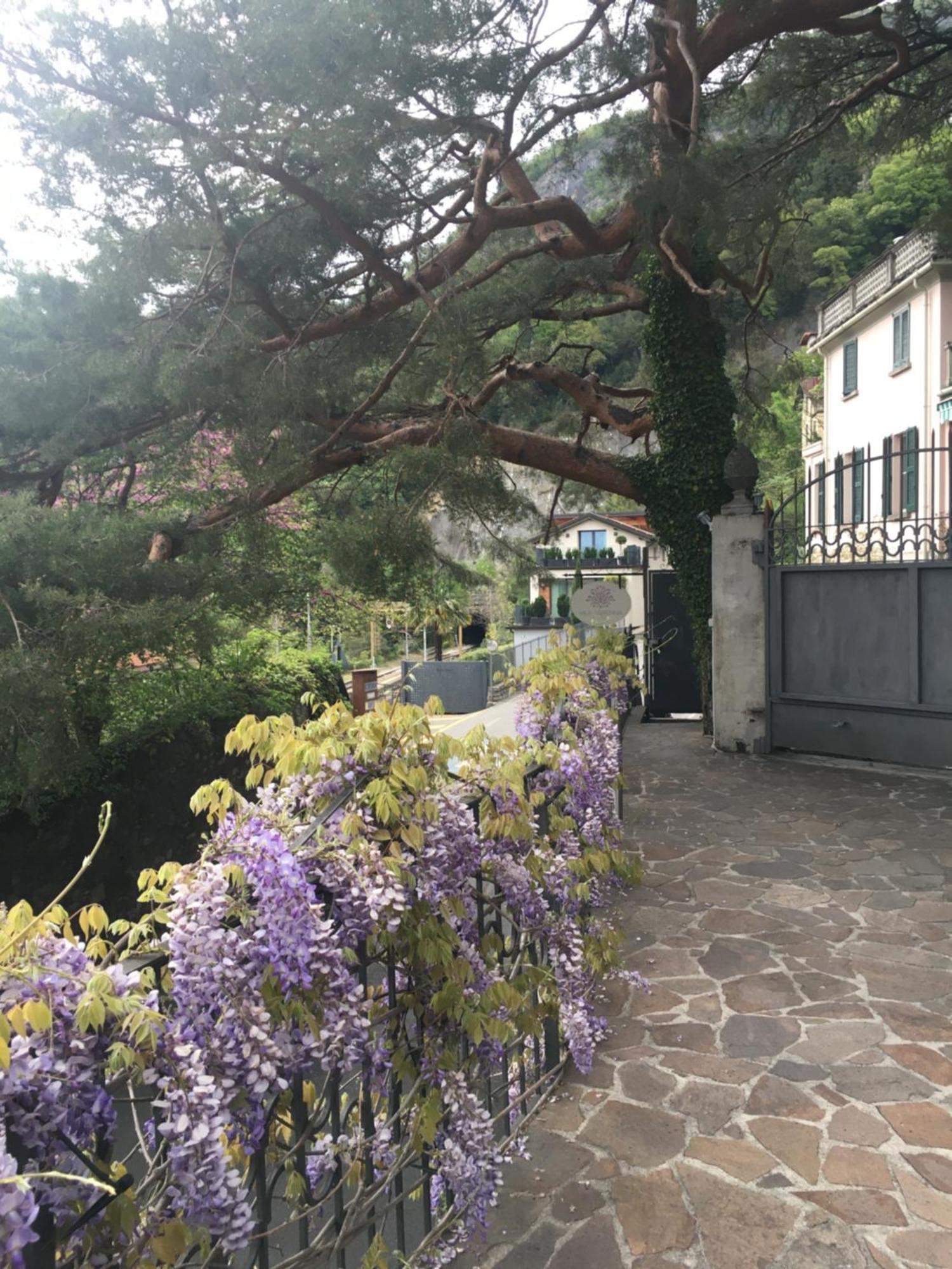 Villa Varenna Ngoại thất bức ảnh